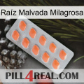 Raíz Malvada Milagrosa 26